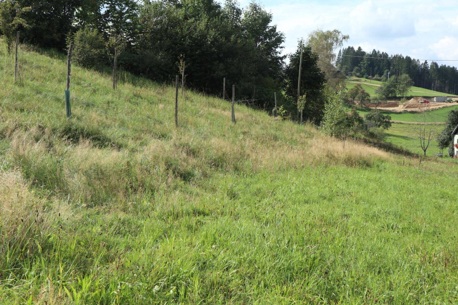 Terreno em St. Georgen am Walde, Austria 1592 m² N.º 84901