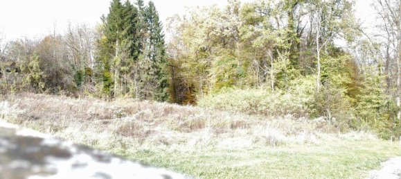 Grundstück in Ehrenhausen an der Weinstraße, Austria, Nr. 79129 3