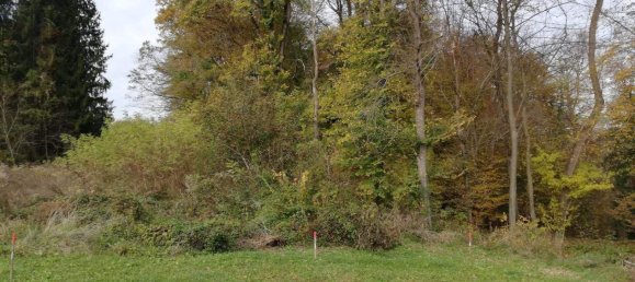 Grundstück in Ehrenhausen an der Weinstraße, Austria, Nr. 79129 6