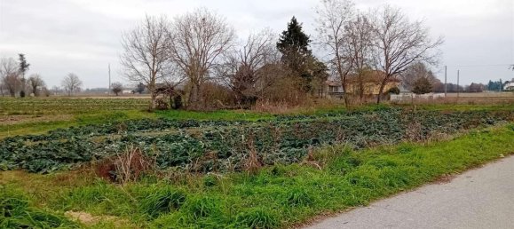 1940m² Land in Frassineto Po, Italy No. 117160 7