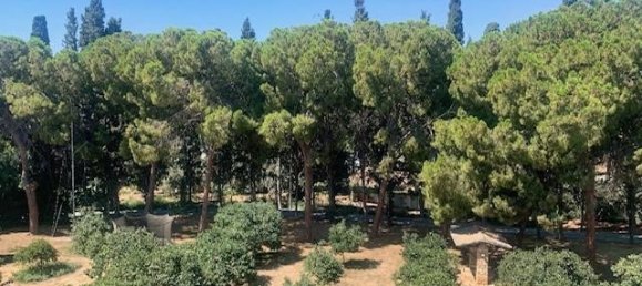 5 bedrooms Apartment in Germasogeia, Cyprus No. 729 11