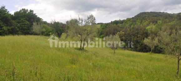 Casa T2 em Pomarance, Italy N.º 77444 22