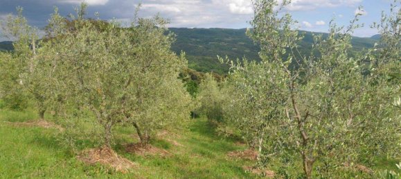 Casa T2 em Pomarance, Italy N.º 77444 20