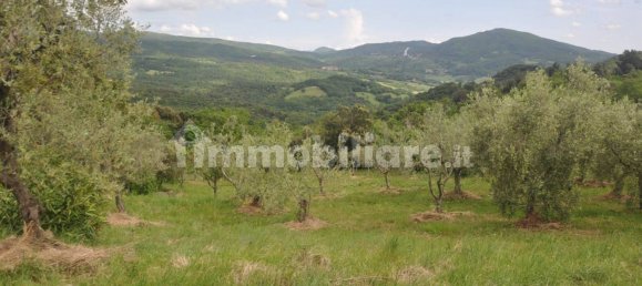 Casa T2 em Pomarance, Italy N.º 77444 19