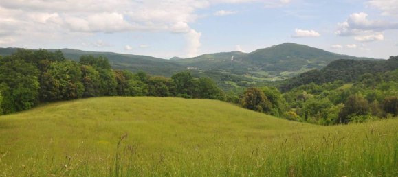 Casa T2 em Pomarance, Italy N.º 77444 21