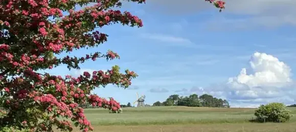 Casa de 9 habitaciónes en Nordfriesland, Germany No. 77171 3