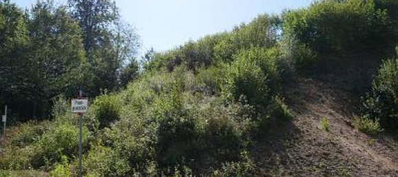 Terrain à Regensburg, Germany 966m² No. 370311 3