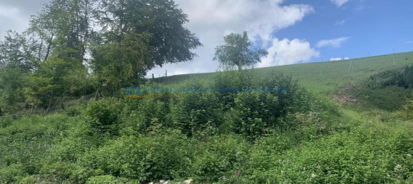  قطعة أرض في Lippe, Germany رقم 163925 4