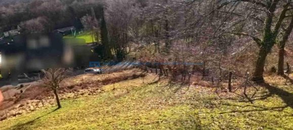  قطعة أرض في Lippe, Germany رقم 163925 2