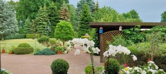 3 bedrooms House in Ludwigslust-Parchim, Germany No. 148349 7