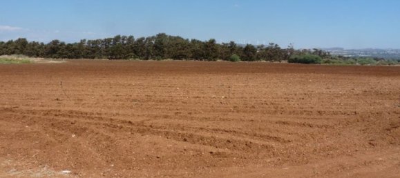  Land in Mandria, Cyprus No. 5726 2