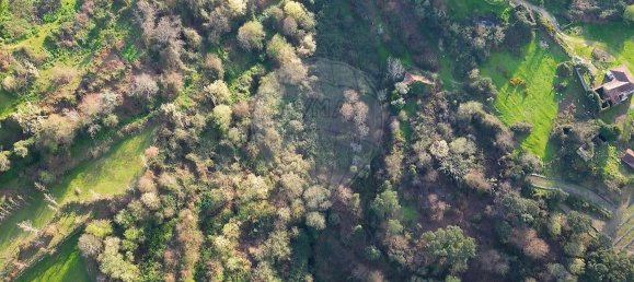 3 chambres Maison à Santiago de Piaes, Portugal No. 171470 27