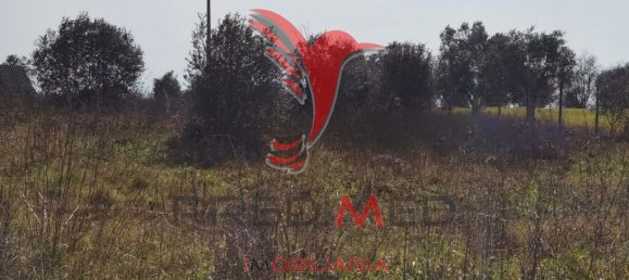  قطعة أرض في Santarem, Portugal 9600متر مربع رقم 57346 13