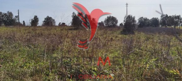  قطعة أرض في Santarem, Portugal 9600متر مربع رقم 57346 12