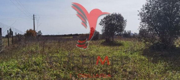  قطعة أرض في Santarem, Portugal 9600متر مربع رقم 57346 10