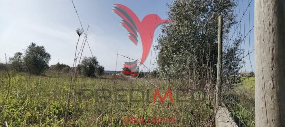  قطعة أرض في Santarem, Portugal 9600متر مربع رقم 57346 8