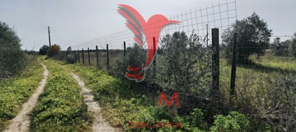  قطعة أرض في Santarem, Portugal 9600متر مربع رقم 57346 6