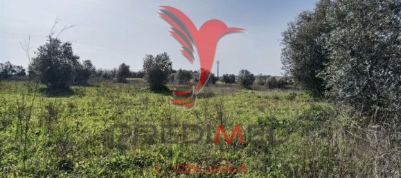  قطعة أرض في Santarem, Portugal 9600متر مربع رقم 57346 20