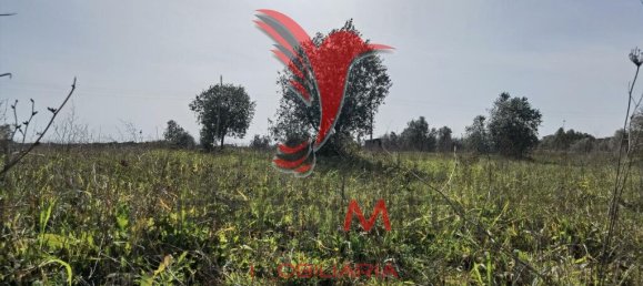  قطعة أرض في Santarem, Portugal 9600متر مربع رقم 57346 17