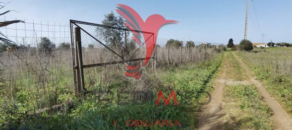  قطعة أرض في Santarem, Portugal 9600متر مربع رقم 57346 2