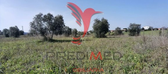  قطعة أرض في Santarem, Portugal 9600متر مربع رقم 57346 15