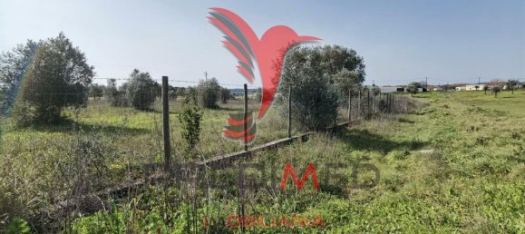  قطعة أرض في Santarem, Portugal 9600متر مربع رقم 57346 9