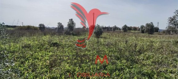  قطعة أرض في Santarem, Portugal 9600متر مربع رقم 57346 14