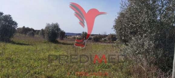  قطعة أرض في Santarem, Portugal 9600متر مربع رقم 57346 11