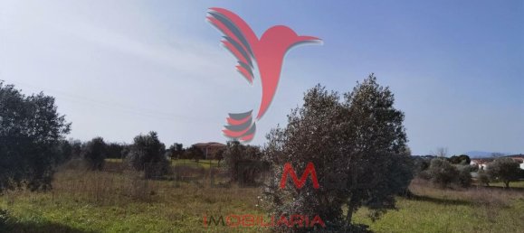  قطعة أرض في Santarem, Portugal 9600متر مربع رقم 57346 18