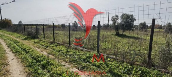  قطعة أرض في Santarem, Portugal 9600متر مربع رقم 57346 5