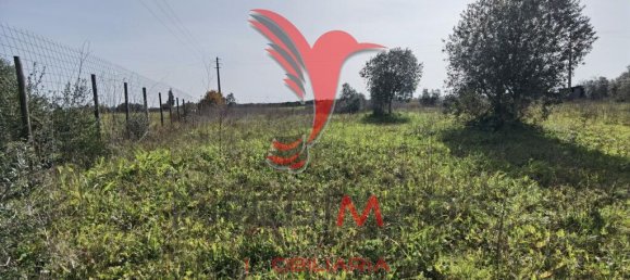  قطعة أرض في Santarem, Portugal 9600متر مربع رقم 57346 16