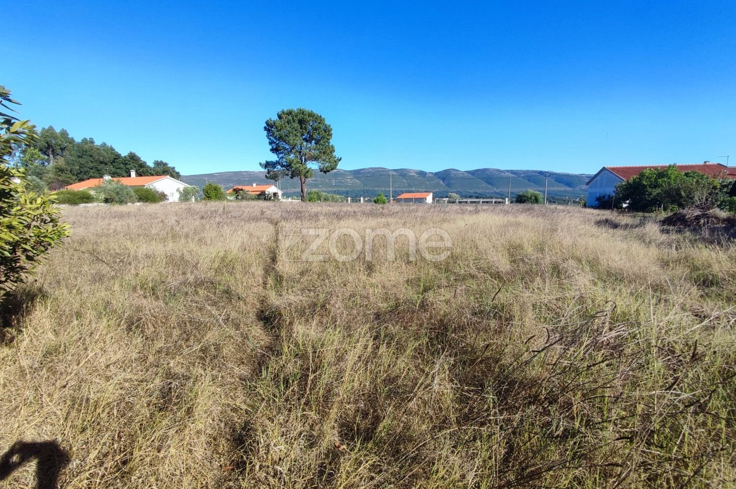 Земельный участок 4277м² в Aljubarrota, Португалия № 71871