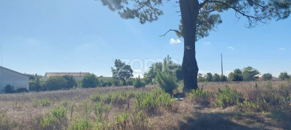 Земельный участок 4277м² в Aljubarrota, Португалия № 71871 4