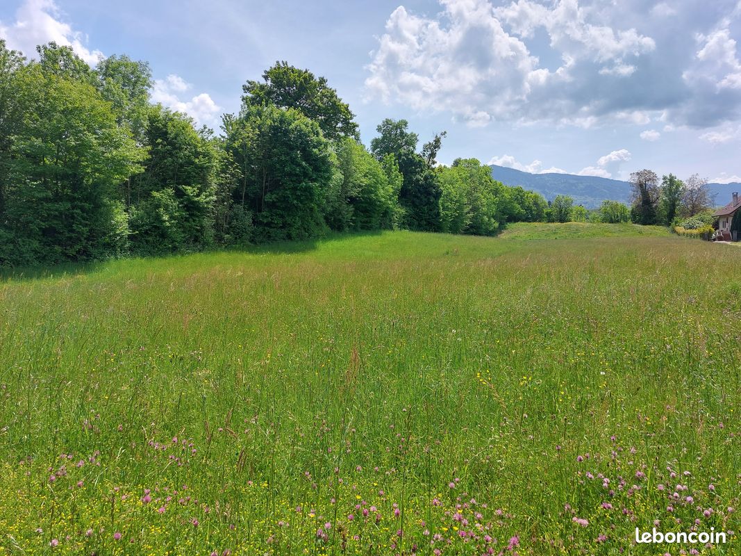 329m² Land in Perrignier, France No. 265294