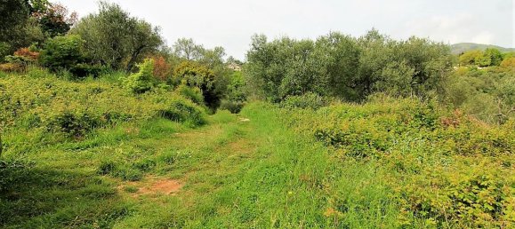 2700m² Hotel in Corfu, Greece No. 4939 4