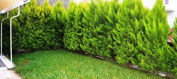 Imóvel comercial T4 em Lagkadas, Greece N.º 7461 19