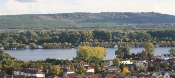 Studio in Rheingau-Taunus, Germany, Nr. 167096 3