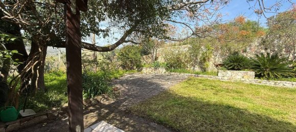 6 rooms Villa in Castellammare del Golfo, Italy No. 258723 5