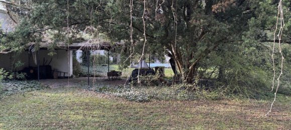 2 bedrooms House in Linz, Austria No. 137282 13