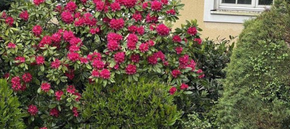 2 bedrooms House in Linz, Austria No. 137282 22