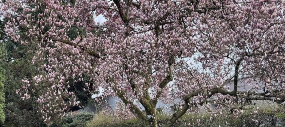 2 bedrooms House in Linz, Austria No. 137282 23