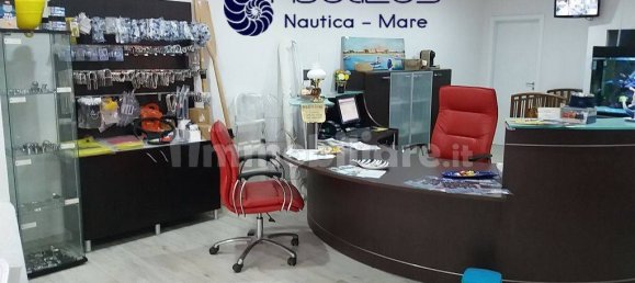 3-Zimmer Gewerbliche Immobilie in Falcone, Italy, Nr. 322808 4