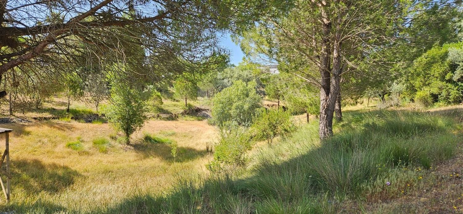 Terreno em Alcanena, Portugal N.º 190403