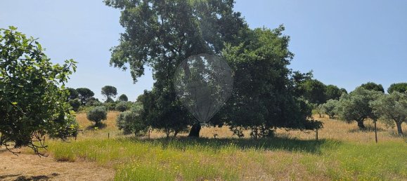 Terreno em Alcanena, Portugal N.º 190403 13