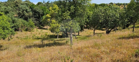 Terreno em Alcanena, Portugal N.º 190403 11