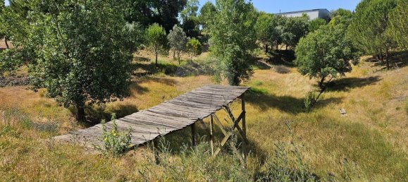 Terreno em Alcanena, Portugal N.º 190403 3