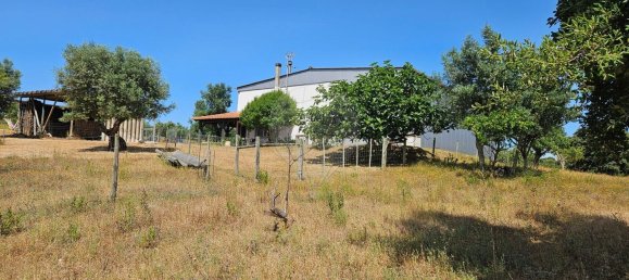 Terreno em Alcanena, Portugal N.º 190403 5