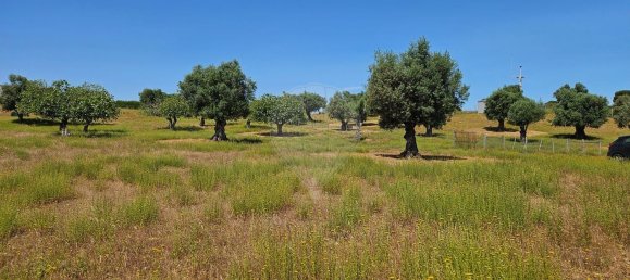 Terreno em Alcanena, Portugal N.º 190403 15