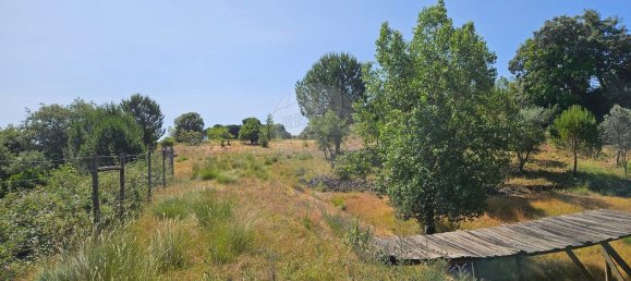 Terreno em Alcanena, Portugal N.º 190403 2