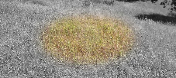 Terreno em Alcanena, Portugal N.º 190403 9